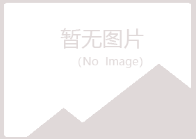 平泉县字迹造纸有限公司